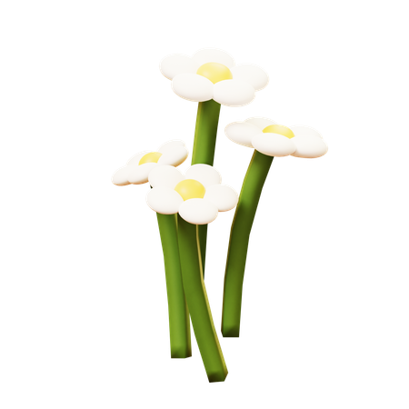 Fleurs  3D Icon