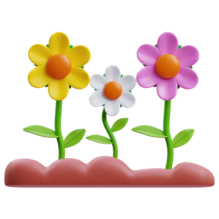 Fleurs  3D Icon