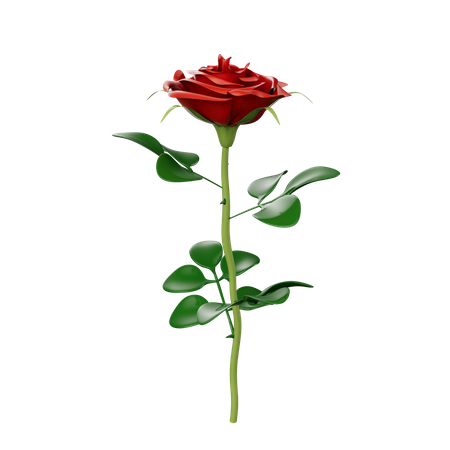 Fleurs  3D Icon