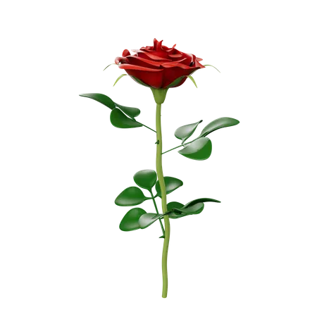 Fleurs  3D Icon