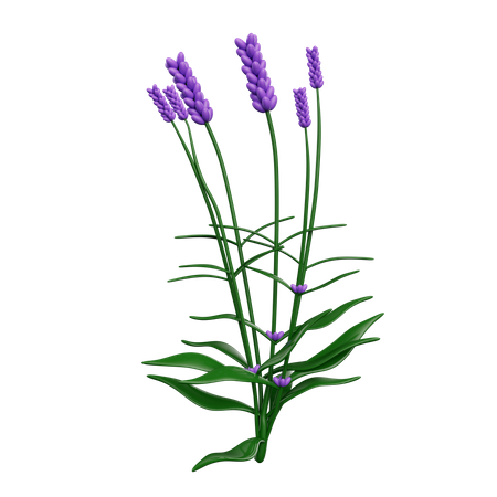 Fleurs  3D Icon