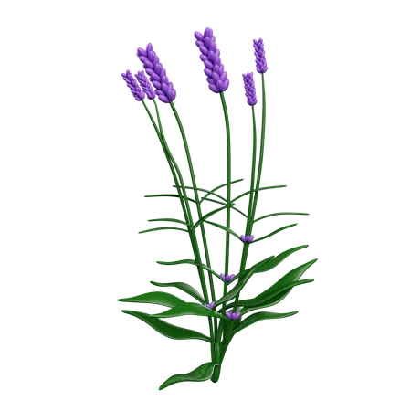 Fleurs  3D Icon