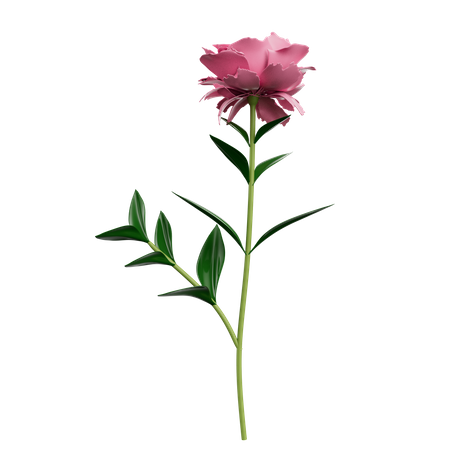 Fleurs  3D Icon