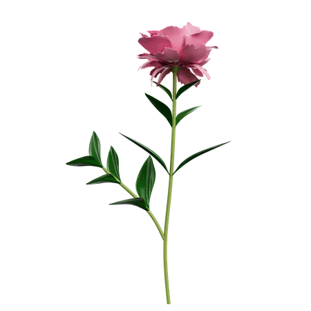 Fleurs  3D Icon