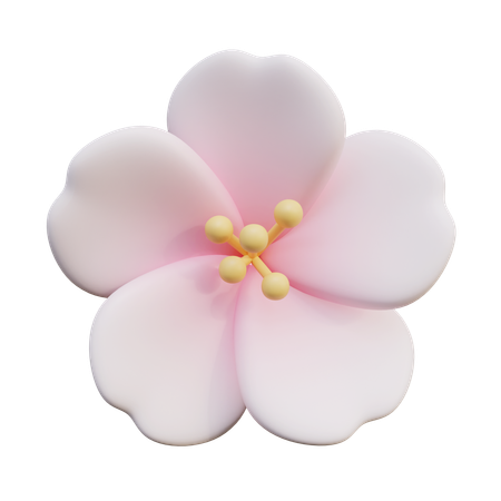 Fleurs de cerisier  3D Icon