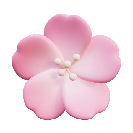 Fleurs de cerisier  3D Icon