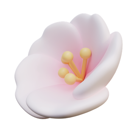 Fleurs de cerisier  3D Icon