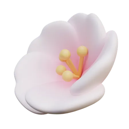 Fleurs de cerisier  3D Icon