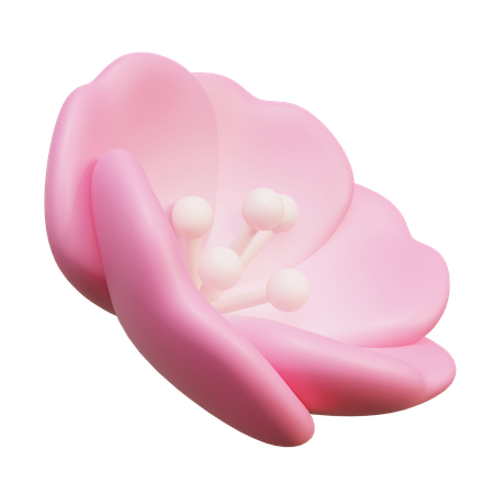 Fleurs de cerisier  3D Icon