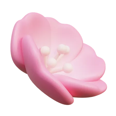 Fleurs de cerisier  3D Icon