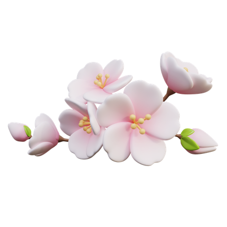 Fleurs de cerisier  3D Icon
