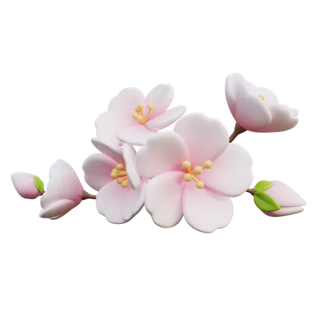 Fleurs de cerisier  3D Icon