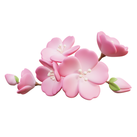 Fleurs de cerisier  3D Icon