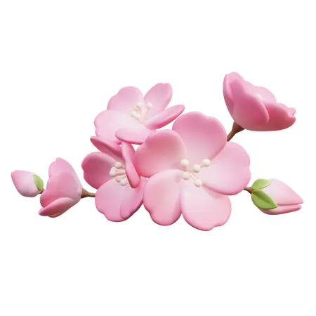 Fleurs de cerisier  3D Icon