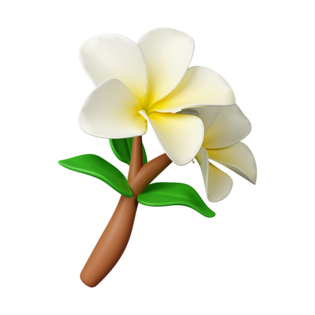 Fleurs de frangipanier  3D Icon