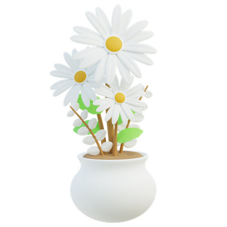 Fleurs de marguerite blanche  3D Icon