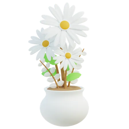 Fleurs de marguerite blanche  3D Icon