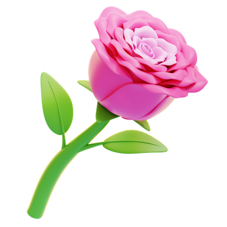 Fleurs roses  3D Icon