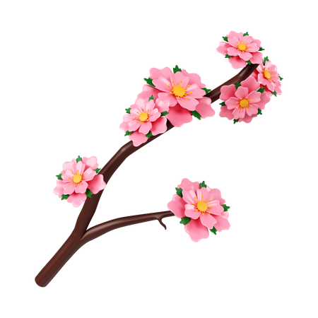 Fleurs de sakura  3D Icon