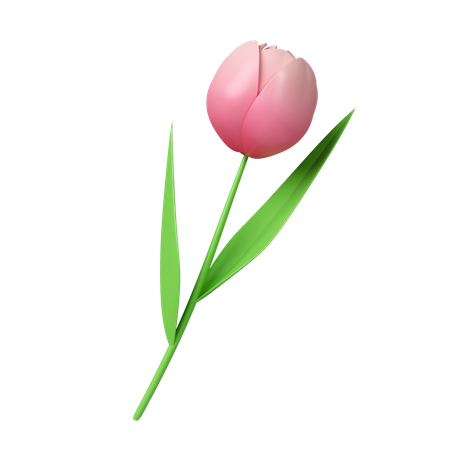 Fleurs de tulipes  3D Icon