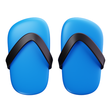 Flip Flops  3D Icon