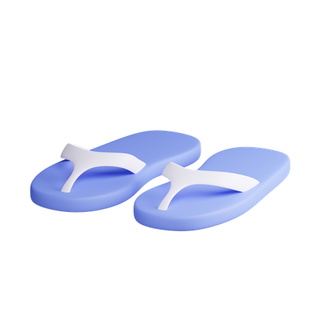 Flip Flops  3D Illustration