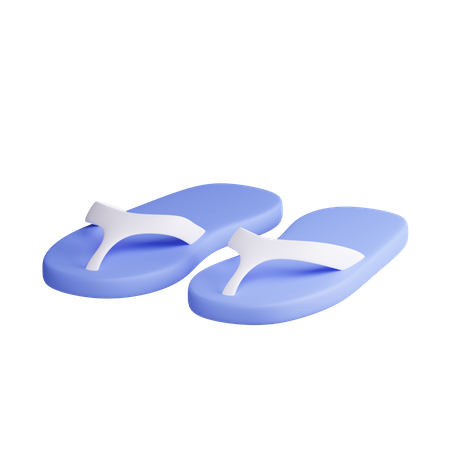 Flip Flops 3D Illustration