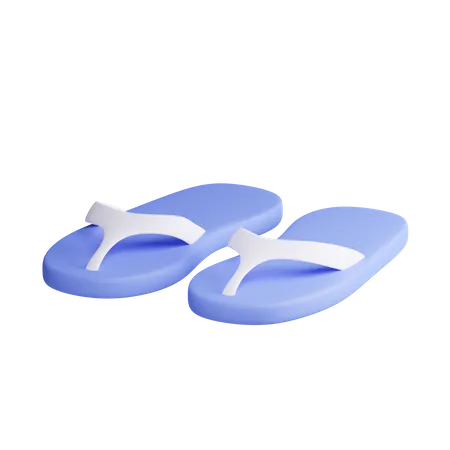 Flip-Flops  3D Illustration