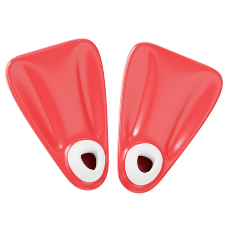 Flippers  3D Icon