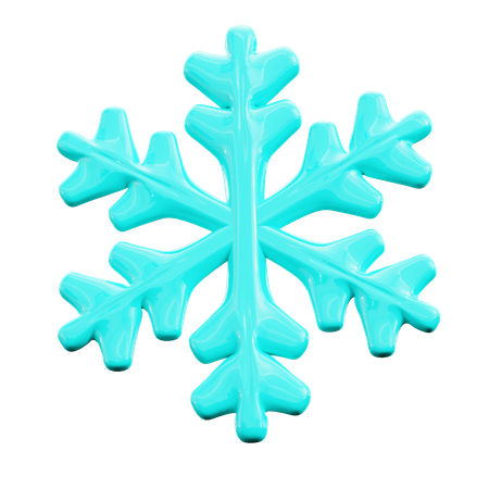 Floco de neve  3D Icon