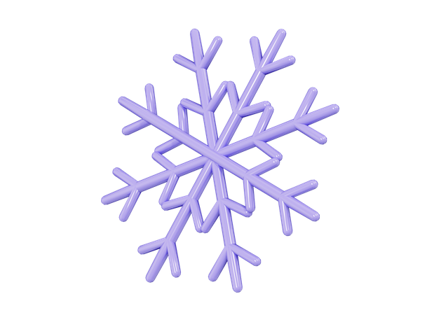 Floco de neve  3D Icon