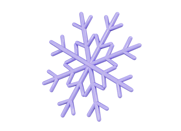 Floco de neve  3D Icon