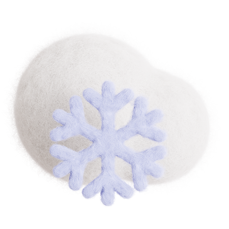 Flocon de neige  3D Icon