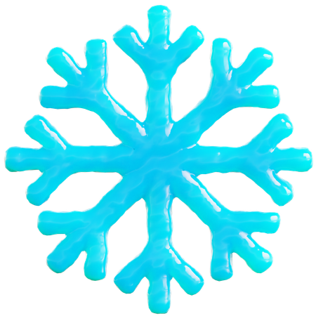 Flocon de neige stylisé  3D Icon