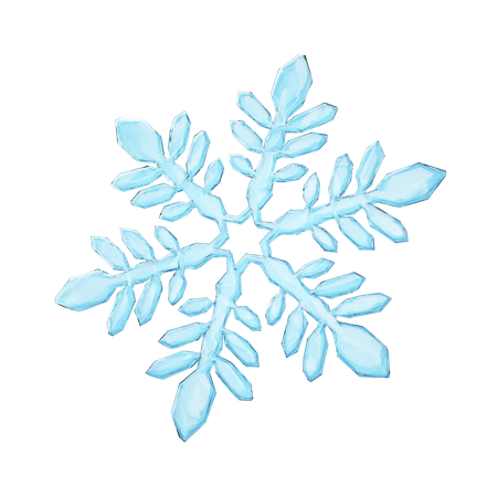 Flocons de neige  3D Icon