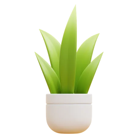 FLOOR PLANT  3D Icon