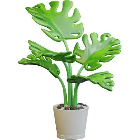 Floor Plant  3D Icon