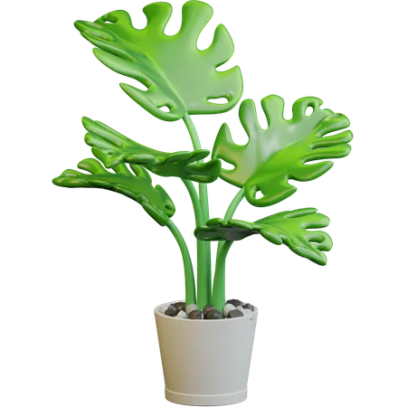 Floor Plant  3D Icon