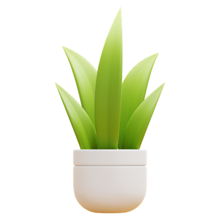 FLOOR PLANT  3D Icon