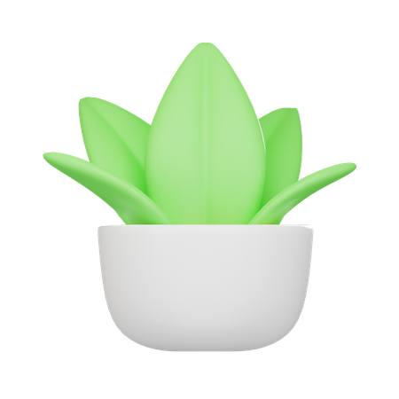 Floor Plant  3D Icon