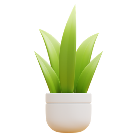 FLOOR PLANT  3D Icon