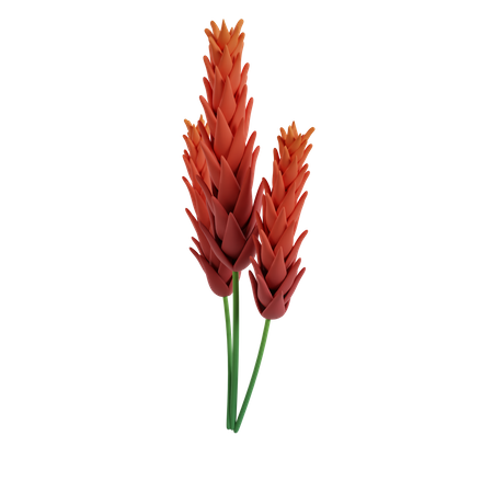 Flor  3D Icon