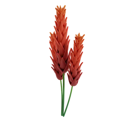 Flor  3D Icon