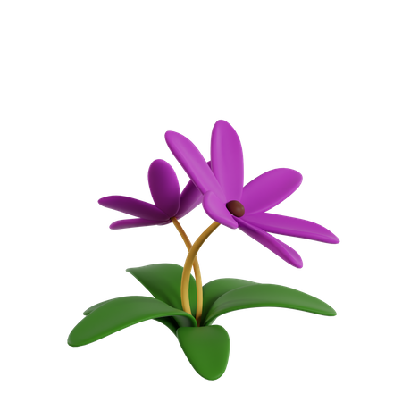 Flor  3D Icon