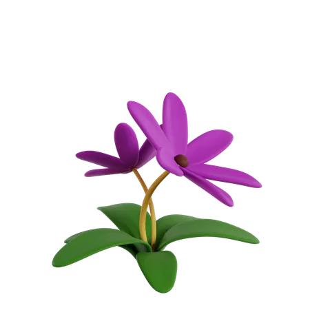 Flor  3D Icon