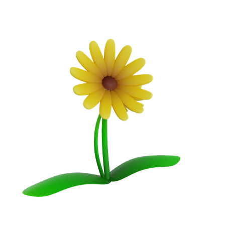 Flor  3D Icon