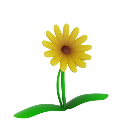 Flor  3D Icon