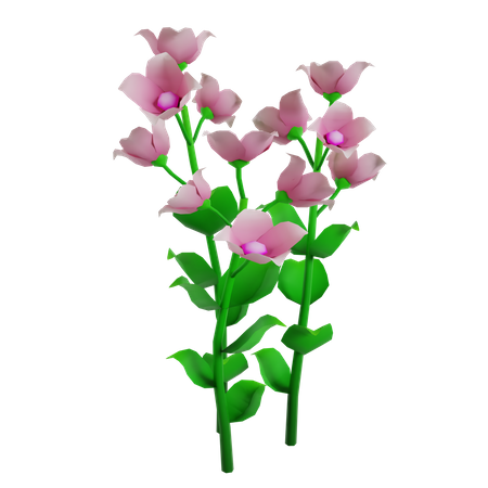 Flor  3D Icon