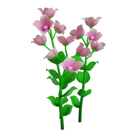 Flor  3D Icon