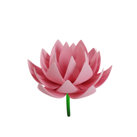 Flor  3D Icon